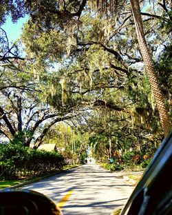 Road amidst trees against sky