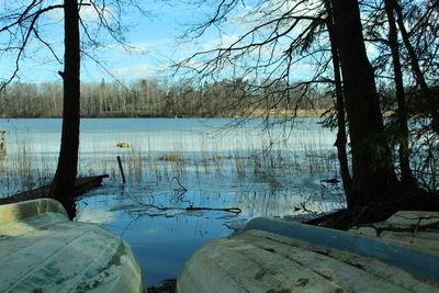 Reflection of trees in lake against sky