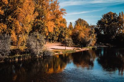 Scenic view of lake by trees during autumn