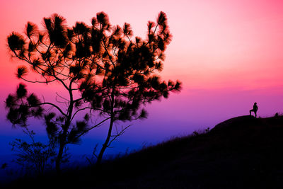 Silhouette tree against sky during sunset