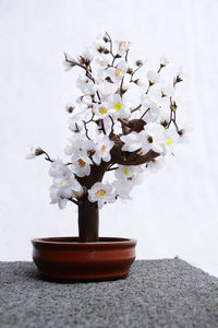 Close-up of white flower vase on table against wall