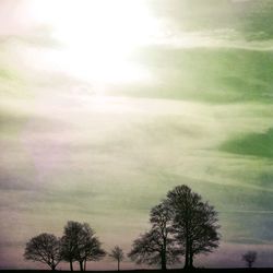 Low angle view of silhouette tree against sky