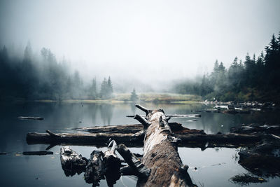 Scenic view of lake against foggy sky