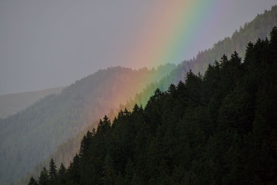 Scenic view of rainbow over forest against sky