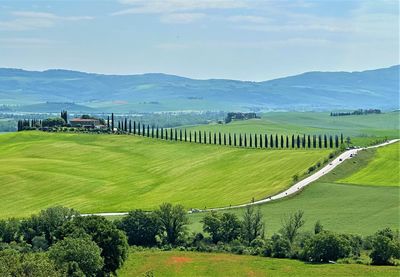 Scenic view of agricultural field against sky