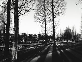 Trees on road against clear sky