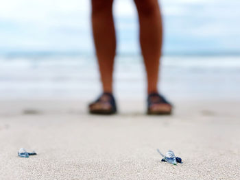 Ocean, legs and a pair of blue bottles 