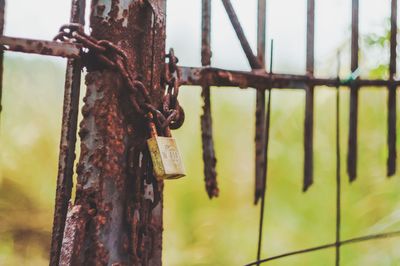 Close-up of rusty chain hanging on fence