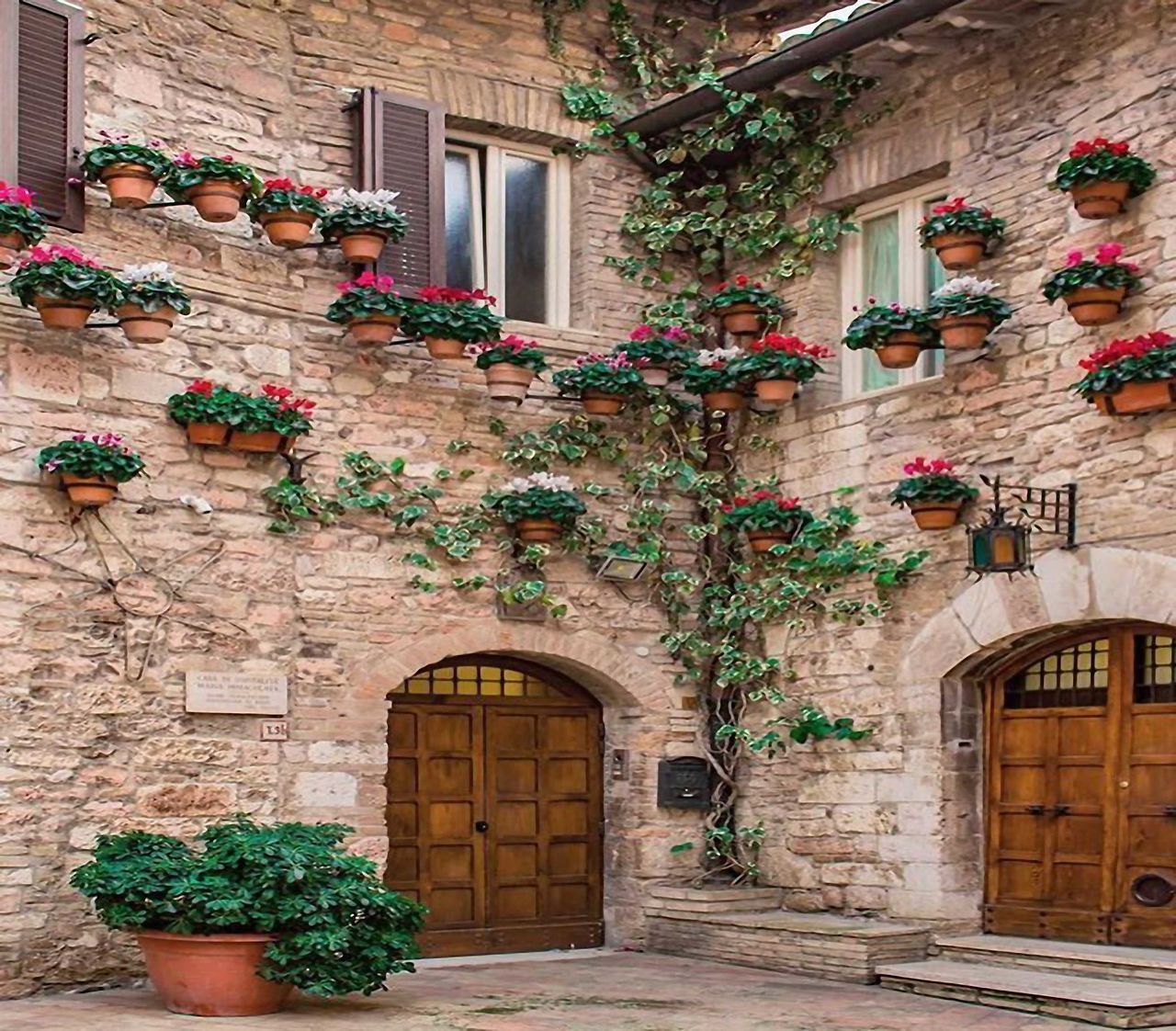 POTTED PLANTS ON OLD HOUSE