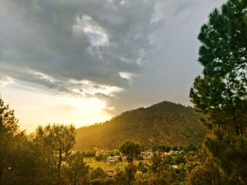 Scenic view of trees and buildings against sky