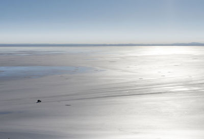 View of birds on beach against the sky