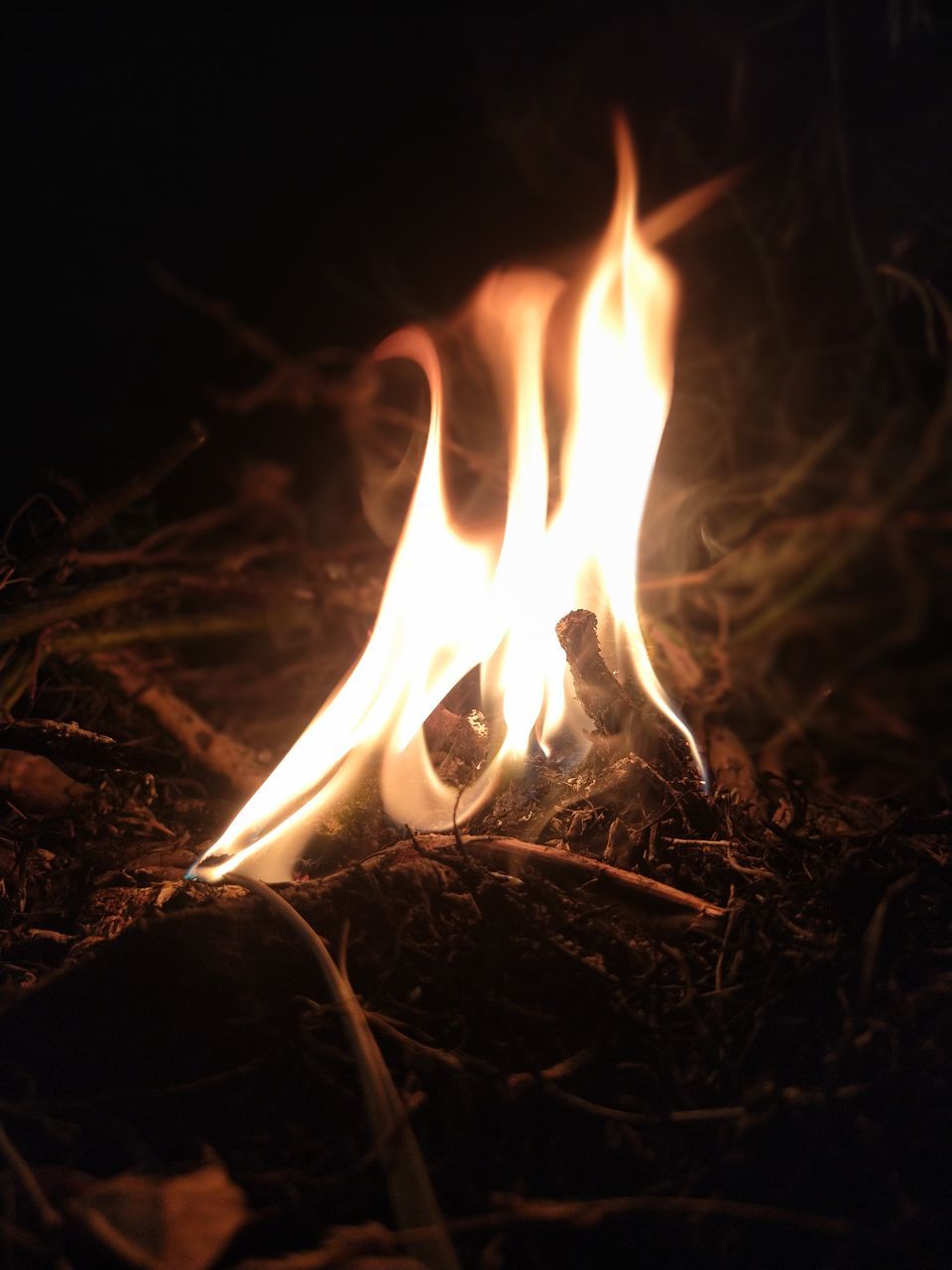 CLOSE-UP OF BONFIRE IN FIELD