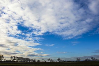 Trees on field against cloudy sky