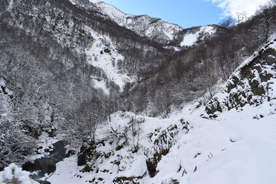 Scenic view of snow covered mountains