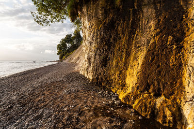 Close-up of rock on beach against sky