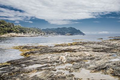 Scenic view of beach against sky