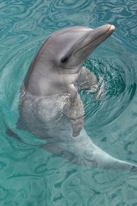 Close-up of water splashing in sea