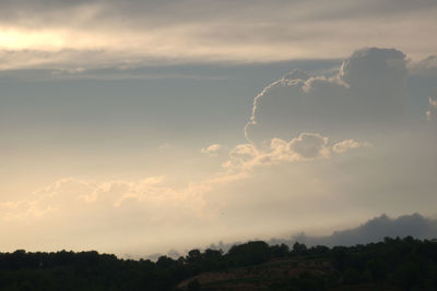 Low angle view of silhouette trees against sky