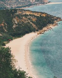 High angle view of sea and trees