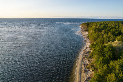 Aerial view of fallen trees, coast of the wavy baltic sea and pine forest at golden hour at sunset