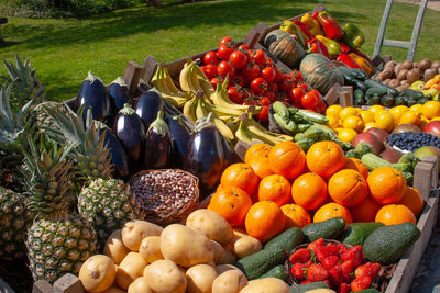 Beautiful composition of various fresh and ripe biological vegetables and fruits in wooden boxes