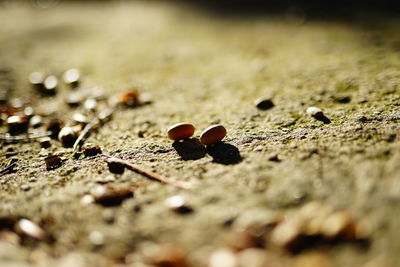 Surface level of stones on sand