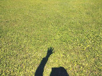 Shadow of person on grass