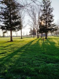 Scenic view of grassy field against sky