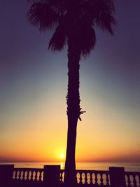 Silhouette palm tree by sea against clear sky during sunset