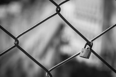 Close-up of padlock hanging on chainlink fence
