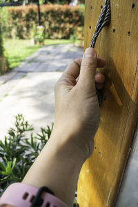 Close-up of person hand holding wood