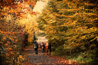 Father and daughter with horse walking on pathway amidst trees during autumn
