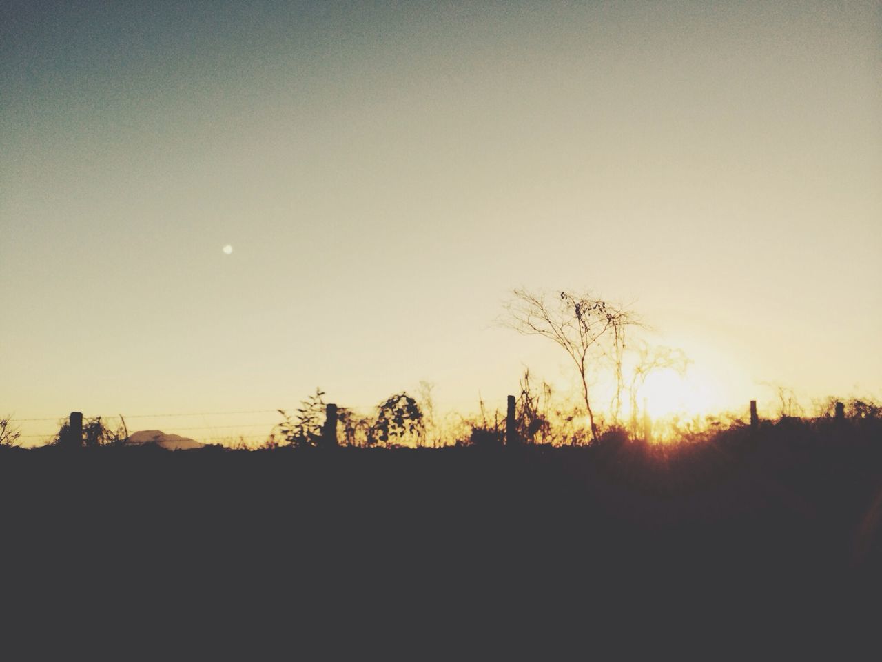 silhouette, sunset, copy space, tranquil scene, tranquility, scenics, clear sky, beauty in nature, sun, landscape, tree, nature, idyllic, orange color, sky, dark, field, outline, no people, sunlight