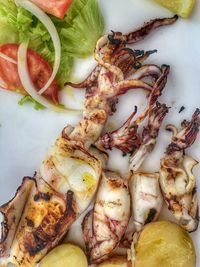 High angle view of seafood on plate