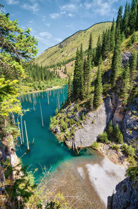 High angle view of lake by trees against sky