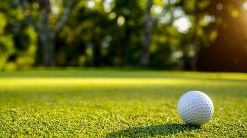 Golf ball on green grass in the evening golf course with sunshine background. 