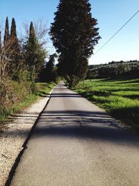 Country road along trees