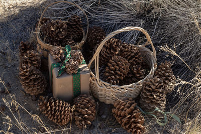 High angle view of pine cone in basket