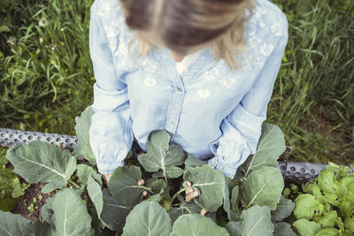 High angle view of woman amidst plants on field