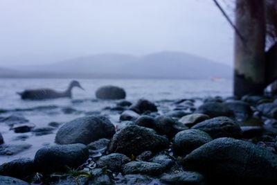 Rocks in sea against sky