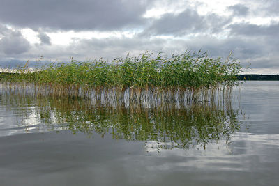 Scenic view of lake against sky