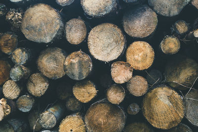 A stack of wooden logs in a moody morning atmosphere