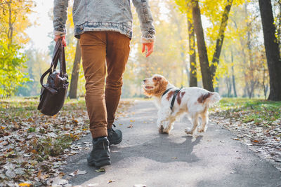 Low section of man with dog walking on road in park