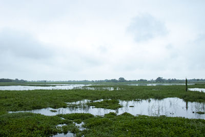 Scenic view of lake against sky