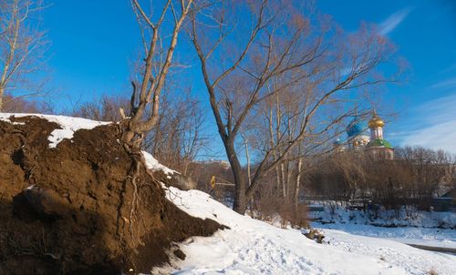 Bare trees on snow covered land against sky