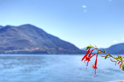 Scenic view of mountains against clear blue sky
