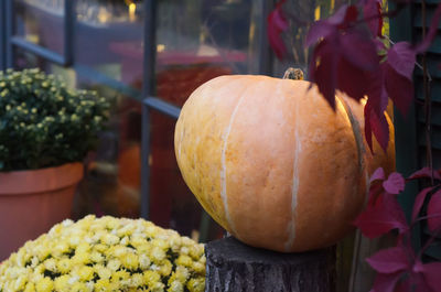 Close-up of pumpkin on table at market