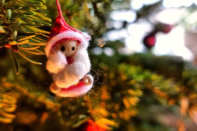 Close-up of decoration hanging on christmas tree