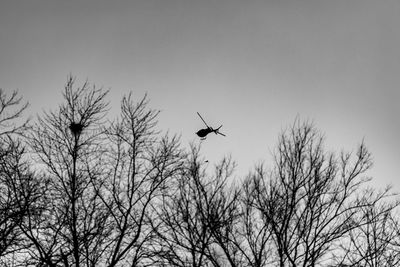flying