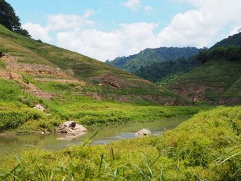 Scenic view of landscape against sky